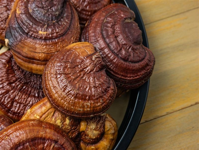 Ingredient: Reishi Fruiting Body Extract